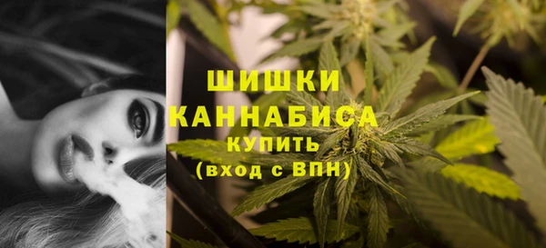 таблы Богородицк