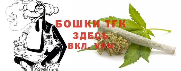 таблы Богородицк