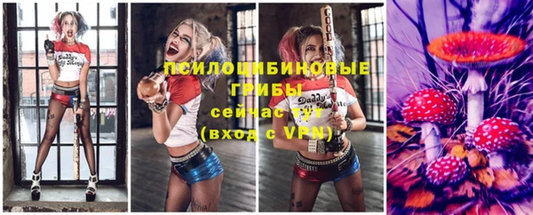 таблы Богородицк